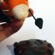 corn0-foot thumbnail