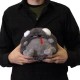 worrible7_red5 thumbnail