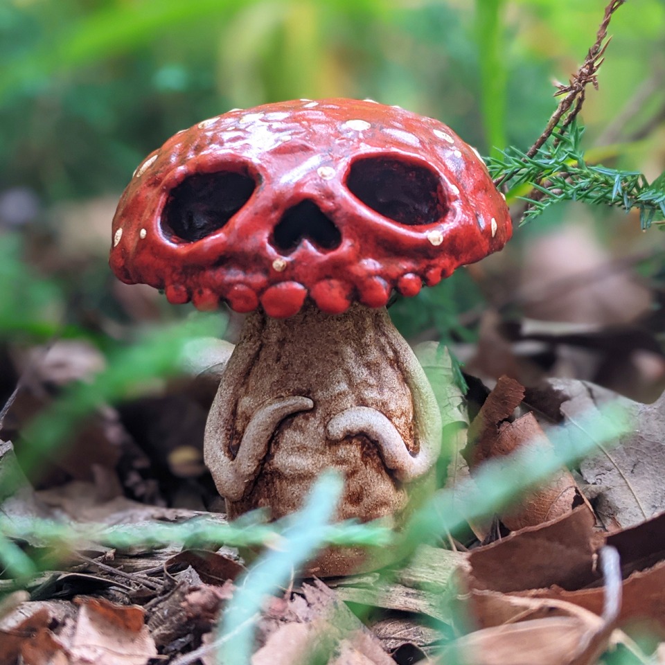 Death Cap Mushroom