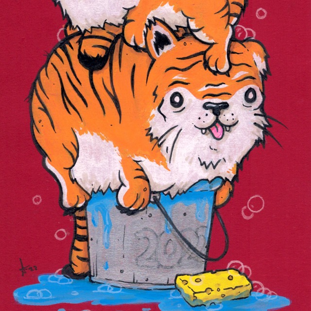 abell-redenvelope-tiger-botcu